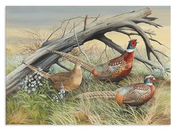 SINGER, ARTHUR. Pheasants in Grass.